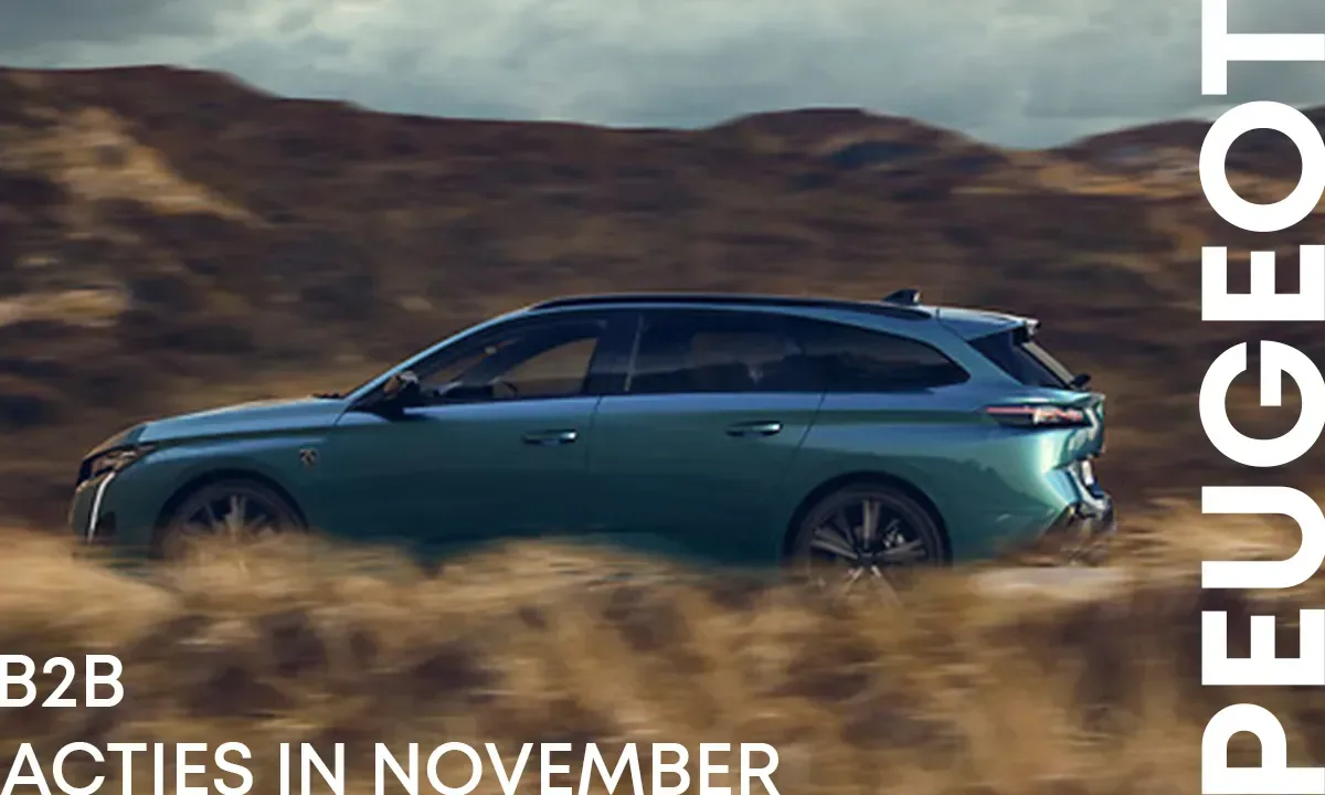 Peugeot | November | B2C